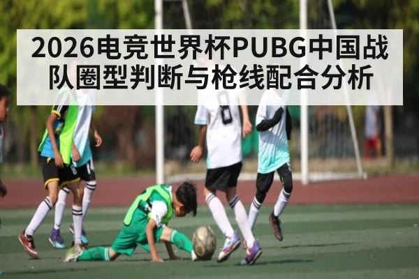 2026电竞世界杯PUBG中国战队圈型判断与枪线配合分析